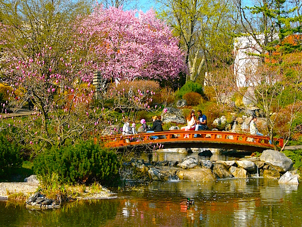 Szelfizők, fotósok, idősek, szerelmesek