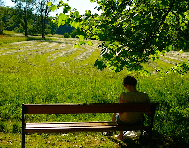 Mindenhol a frissen kaszált fű szénaillata terjedt