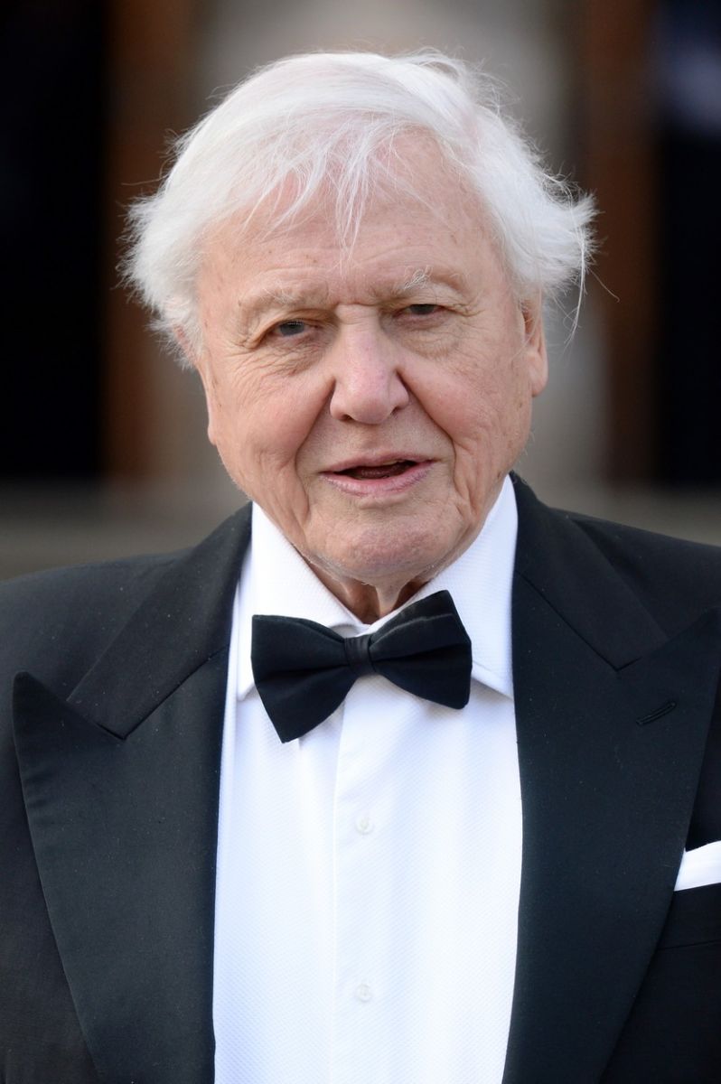 David Attenborough