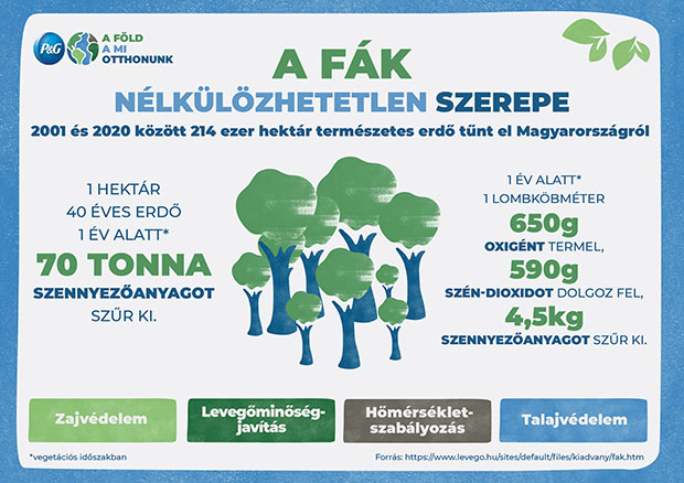 fák szerepe a földön p&amp;g my forest