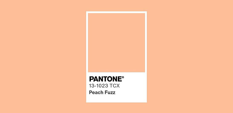 pantone 2024 barack szín