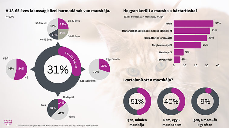 cicagazdi korcsoport kutatás infografika