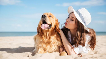 Itt strandolhatsz idén a kutyusoddal - elkészült a friss országos kutyabarát strandtérkép