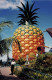 The Big Pineapple (Queensland) – Mintha Spongyabob otthonát látnánk