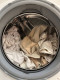 Színek és anyagok megőrzése

Az első mosás nemcsak a higiénia szempontjából fontos, hanem a ruhák megőrzése miatt is. Az új ruhákból az első mosás során távozhatnak azok a felesleges festékanyagok, amelyek később foltokat hagyhatnak más ruhákon. Ezenkívül az anyagok természetes állapotukba kerülnek vissza, ami segít elkerülni a kellemetlen meglepetéseket, mint például a zsugorodás vagy az anyag deformálódása.