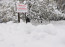 Mindenekelőtt azonban nézzük meg, mi történt tegnap: az Időkép már szerda délután arról számolt be, hogy a Kaposvárhoz közeli Simonfánál 30 centi hó hullott.
