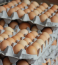 Kiemelt helyen van a tojás is az egészséges táplálkozásban. Segít a jóllakottság elérésében, és ha ezzel indítjuk a reggelt, akkor nagyon sokáig nem leszünk éhesek a magas fehérjetartalma miatt.
