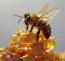Akárhol is csíp minket meg egy méh, érdemes minél hamarabb eltávolítani a fullánkot, hogy csökkentsük a méreganyag bejutását a szervezetbe.
