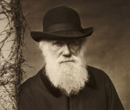 Még a rendőrök is megrökönyödtek: felfoghatatlan, mit műveltek Charles Darwin sírjával