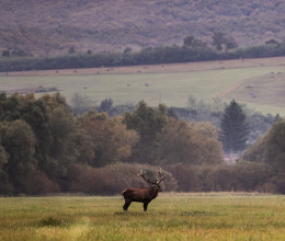 A természet varázsát közvetíti a népszerű ital új kampánya