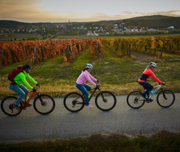 Fantasztikus őszi program: bringázz a Balaton csodás tájain