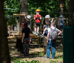 Lehull a lepel: káprázatos lett a Szegedi Vadaspark új tematikus kalandparkja